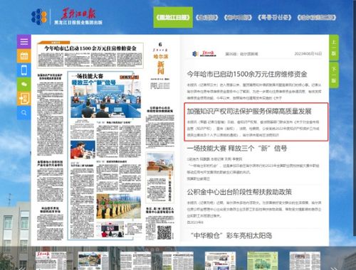 黑龍江日報 加強知識產(chǎn)權(quán)司法保護 服務保障高質(zhì)量發(fā)展